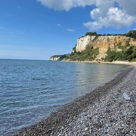 Nutshell Cottage Seaton  Dış mekan fotoğraf
