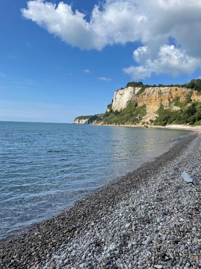 Nutshell Cottage Seaton  Dış mekan fotoğraf